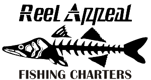 sarasota florida fishing charters